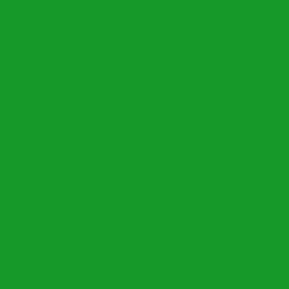 Neon Green 2032-10 - Paint Color – Paint Garden